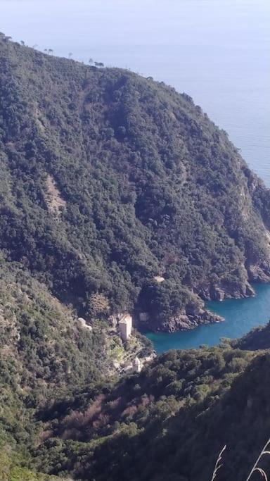 Casa Al Mare A Recco Daire Dış mekan fotoğraf