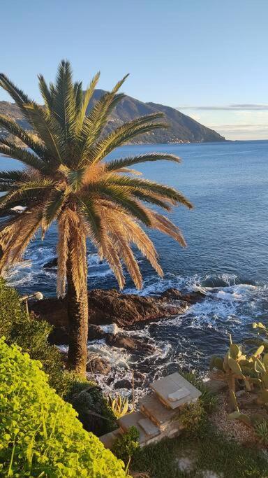 Casa Al Mare A Recco Daire Dış mekan fotoğraf