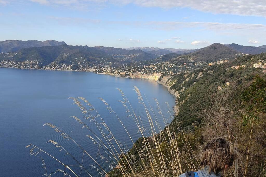 Casa Al Mare A Recco Daire Dış mekan fotoğraf