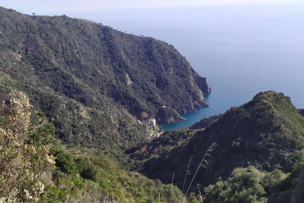 Casa Al Mare A Recco Daire Dış mekan fotoğraf